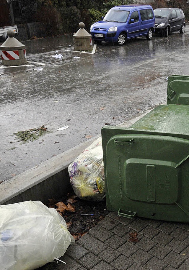 Das Thema Sturm wurde in Freiburg schon im Februar abgehandelt.  | Foto: Ingo Schneider