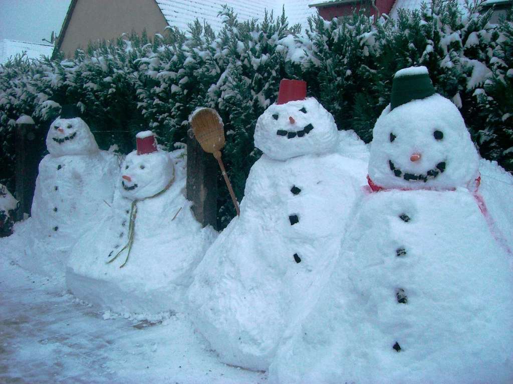 Snowy und sein Snowylinchen in Kehl-Neumhl haben inzwischen noch Zuwachs bekommen!  Es werden jeden Tag mehr Schnee-Kumpels!