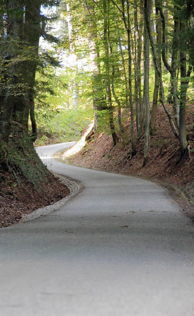 Der schmale Hlzleweg wird nicht fr Autos gesperrt.   | Foto: archivfoto: skn