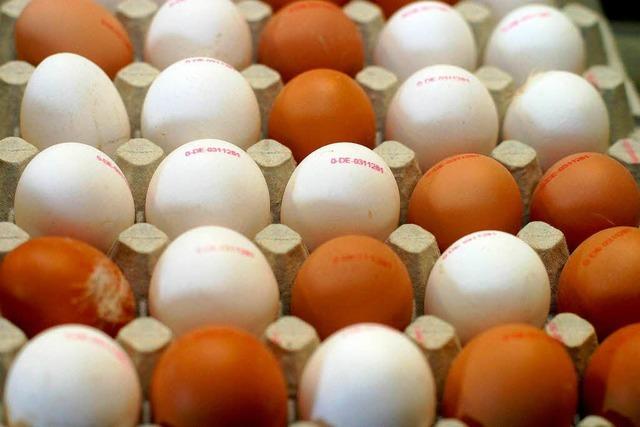 Im Supermarkt werden deutsche Eier knapp