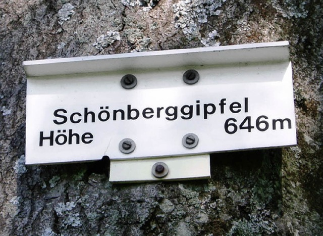 Der Schnberggipfel ist einer von fnf Standorten fr digitale Mobilfunkanlagen.  | Foto: andrea Gallien