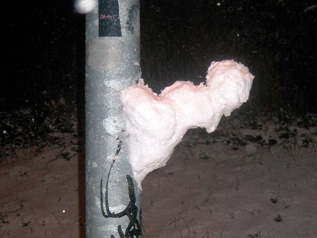 Ein Schneemann? Nein, noch nicht. Aber ein Schneewesen im ersten Wachstumsstadium - beobachtet von einem Leser in Freiburg.