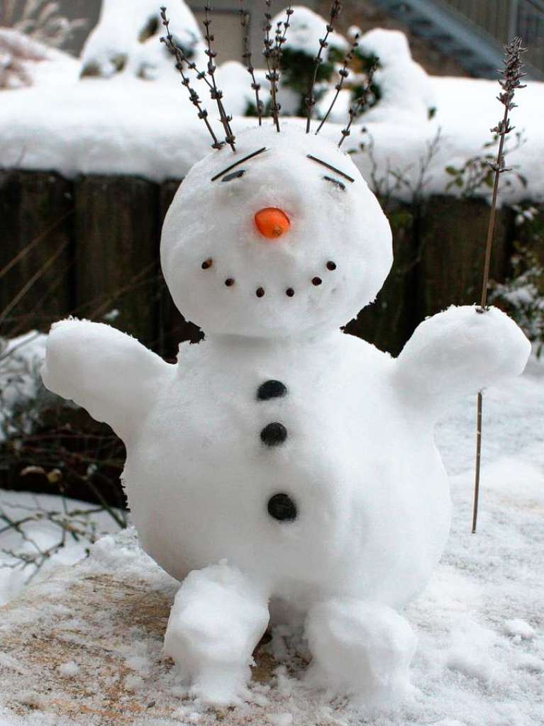 Dieser Schneemann wurde am Mittwoch, 13. Januar 2010, auf einer Terrasse in Emmendingen geboren und misst stolze 27 Zentimeter.