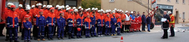 Die Abteilungen der Feuerwehr Sthling...n und Mauchen bei der Abschlussprobe.   | Foto: Archiv