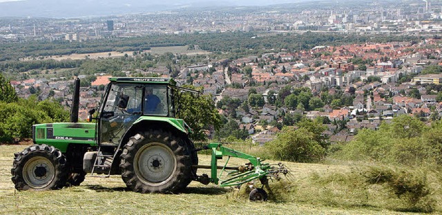 Was ist am Tllinger knftig noch erla...en Landwirten noch Spielraum bleibt.    | Foto: Trenz