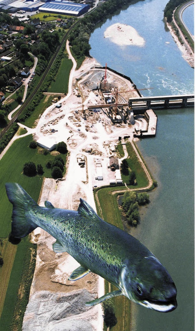 Die Baustelle des Verbindungsgewssers...um fr bedrohte Fischarten werden.      | Foto: Montage: Berndt