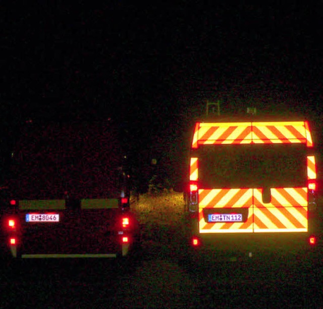 Hauptversammlung Feuerwehr Teningen  | Foto: Feuerwehr