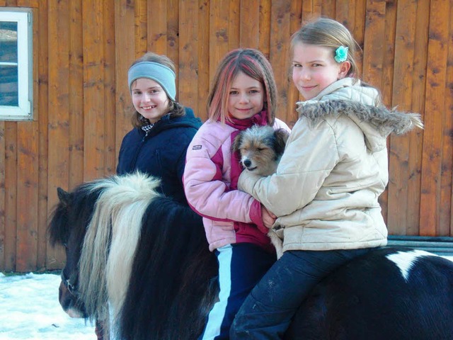 Der Umgang mit Pferden und Hunden macht den Kindern Spa und tut ihnen gut.  | Foto: Kinderclub Kunterbund