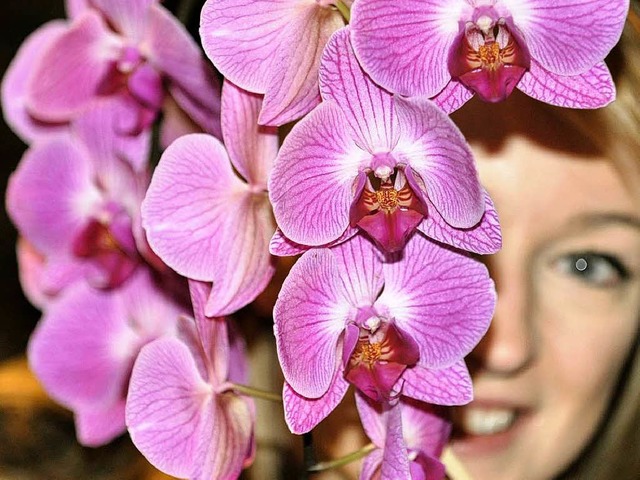 Orchideen machen Freude.  | Foto: dpa