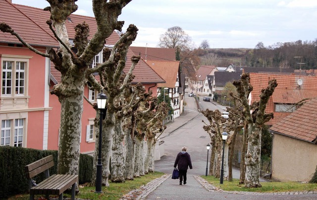 So trostlos wie die Bäume vor dem Frie...en der Gemeinde Buggingen noch nicht. | Foto: Umiger So trostlos wie die Bäume vor dem Frie...en der Gemeinde Buggingen noch nicht. | Foto: Umiger