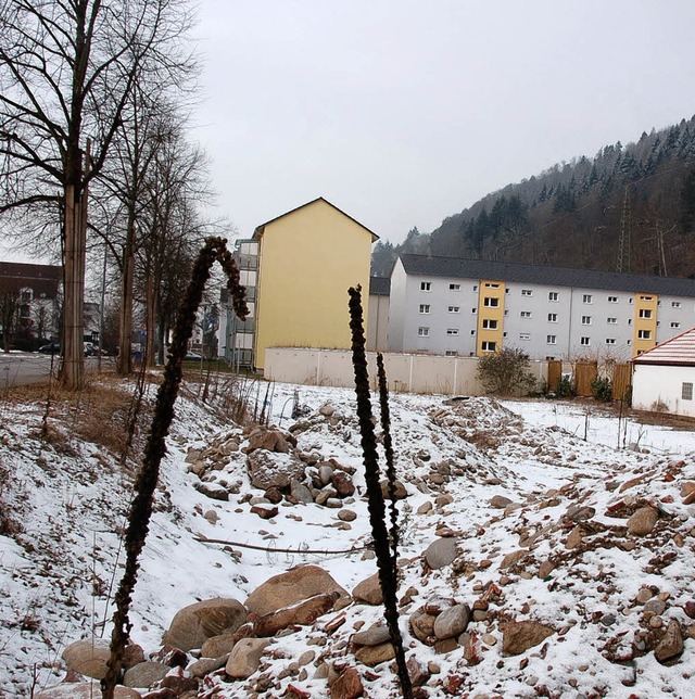 Hier stand einst das Asylbewerberheim....len hier acht Reihenhuser entstehen.   | Foto: Andr Hnig