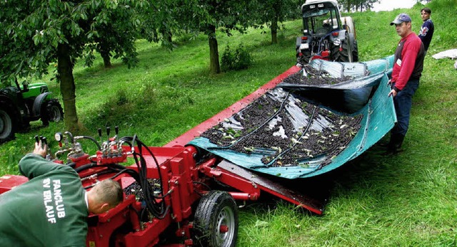 Steinobsttag  | Foto: Jutta Schtz