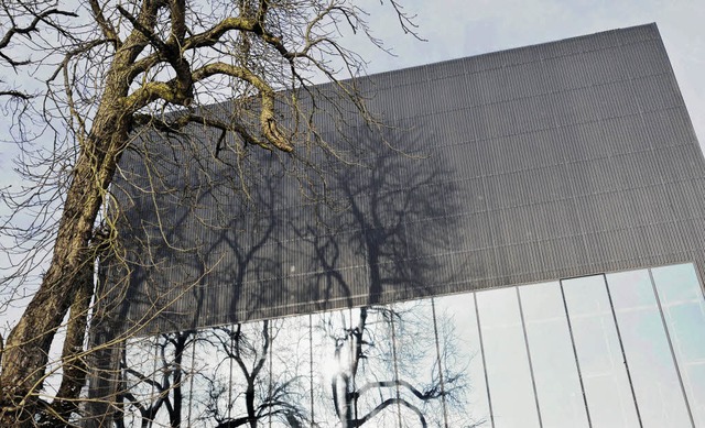 Ein Hingucker im Donaueschinger Stadtbild: die neue Fassade der Donauhallen   | Foto: Sigwart