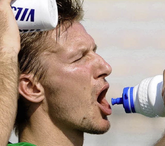 Verlsst wohl  Werder und kritisiert den Trainer: Jurica Vranjes   | Foto: dpa