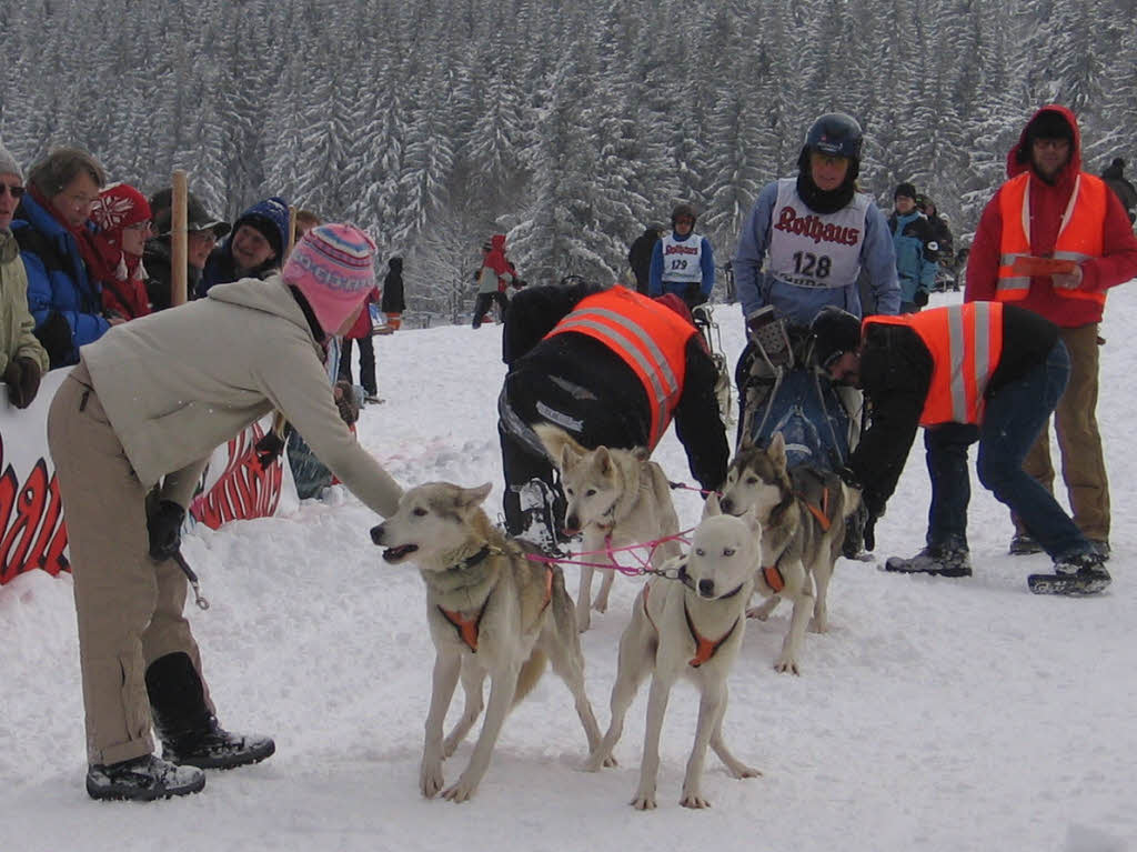 Impressionen von den Schlittenhunderennen 2010 in Todtmoos auf dem Schwarzenbach-Trail.