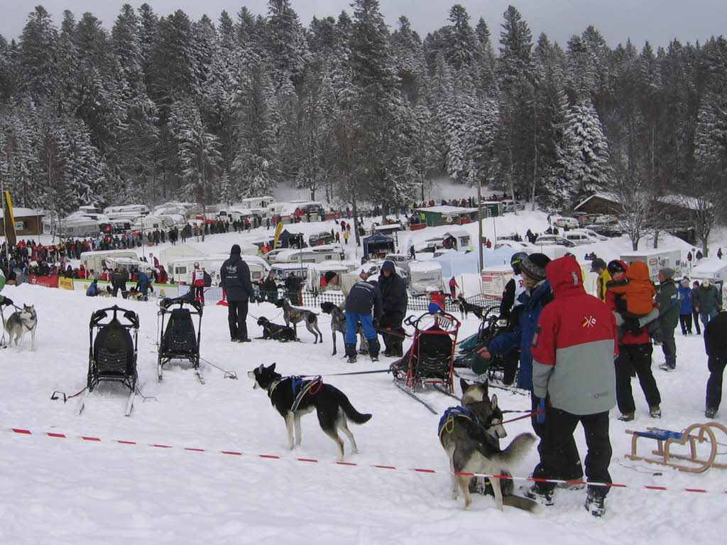 Impressionen von den Schlittenhunderennen 2010 in Todtmoos auf dem Schwarzenbach-Trail.