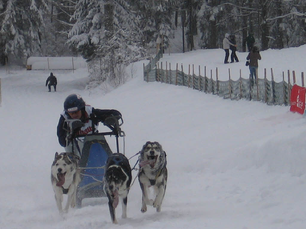 Impressionen von den Schlittenhunderennen 2010 in Todtmoos auf dem Schwarzenbach-Trail.