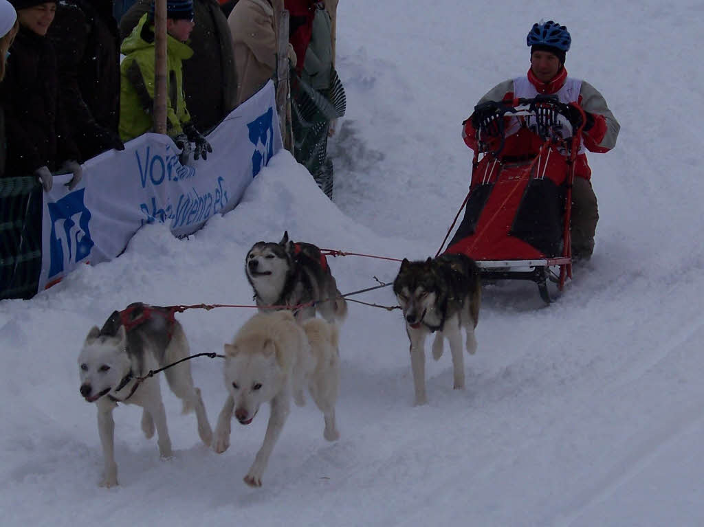 Impressionen von den Schlittenhunderennen 2010 in Todtmoos auf dem Schwarzenbach-Trail.