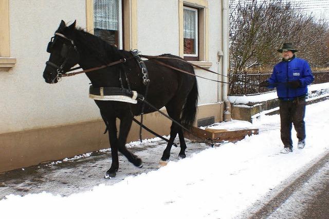 MIT EINER PFERDESTRKE