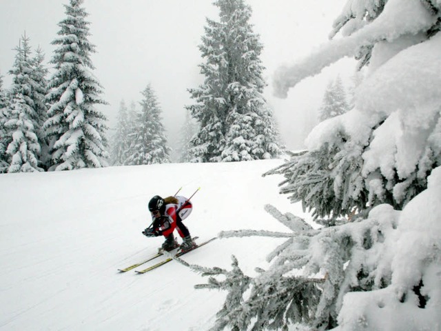 Ski  fahren im Wald wird knftig mit einem Bugeld bestraft.  | Foto: Patrick Seeger