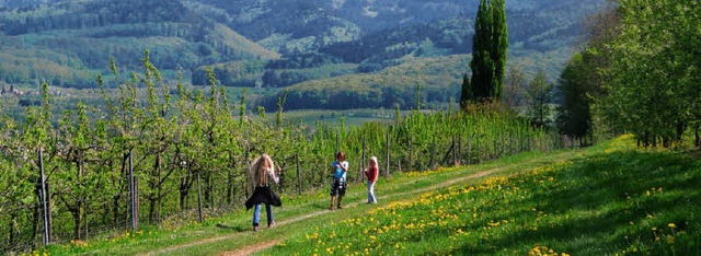 Wandern in der Gruppe macht mehr Spa &#8211; wie hier im  Eggenertal.   | Foto: Privat