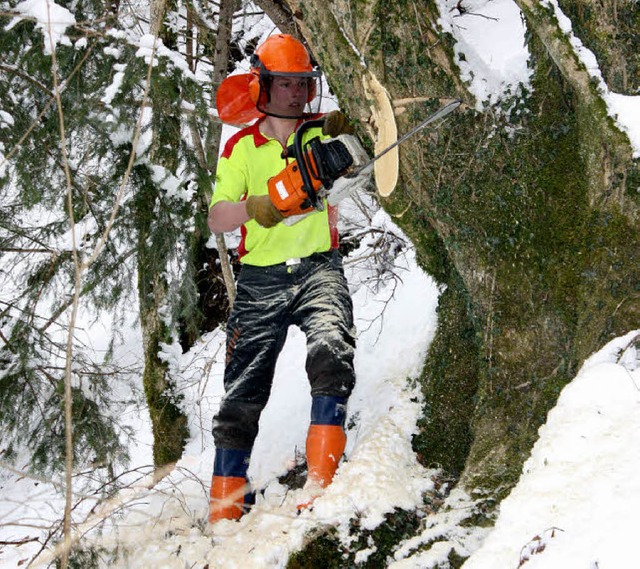 Azubis des forstlichen Ausbildungsstt...lichtungsarbeiten am Haselbach ttig.   | Foto: Heiner Fabry