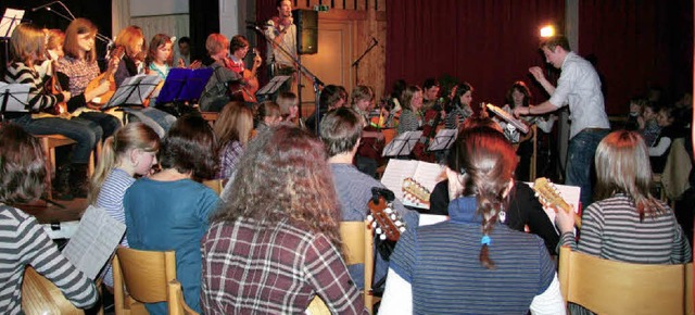 Das Jugendorchester des Mandolinenvereins im Konzert.   | Foto: Sigmund