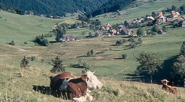 Blick vom Weienbachsattel auf das Moorgebiet um das Josefsheim in Todmoos-Weg   | Foto: Hermann Oehler