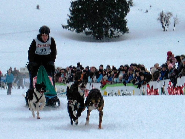 Schlittenhunderennen in Bernau.  | Foto: Stefan Sahli