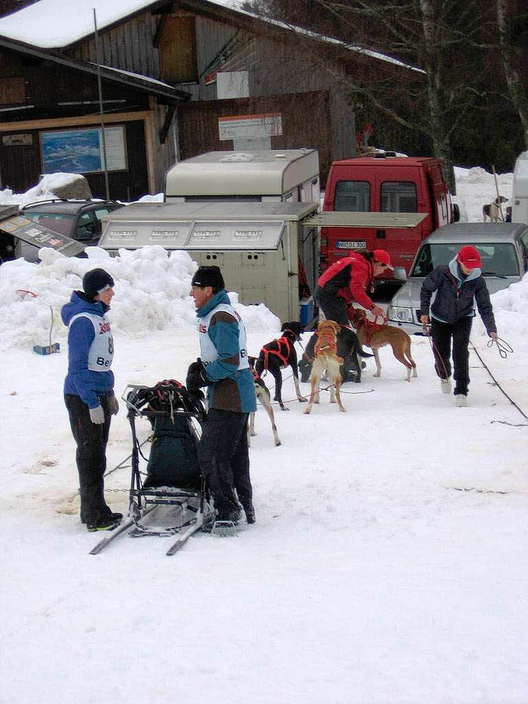 Bernauer Schlittenhunderennen 2010.