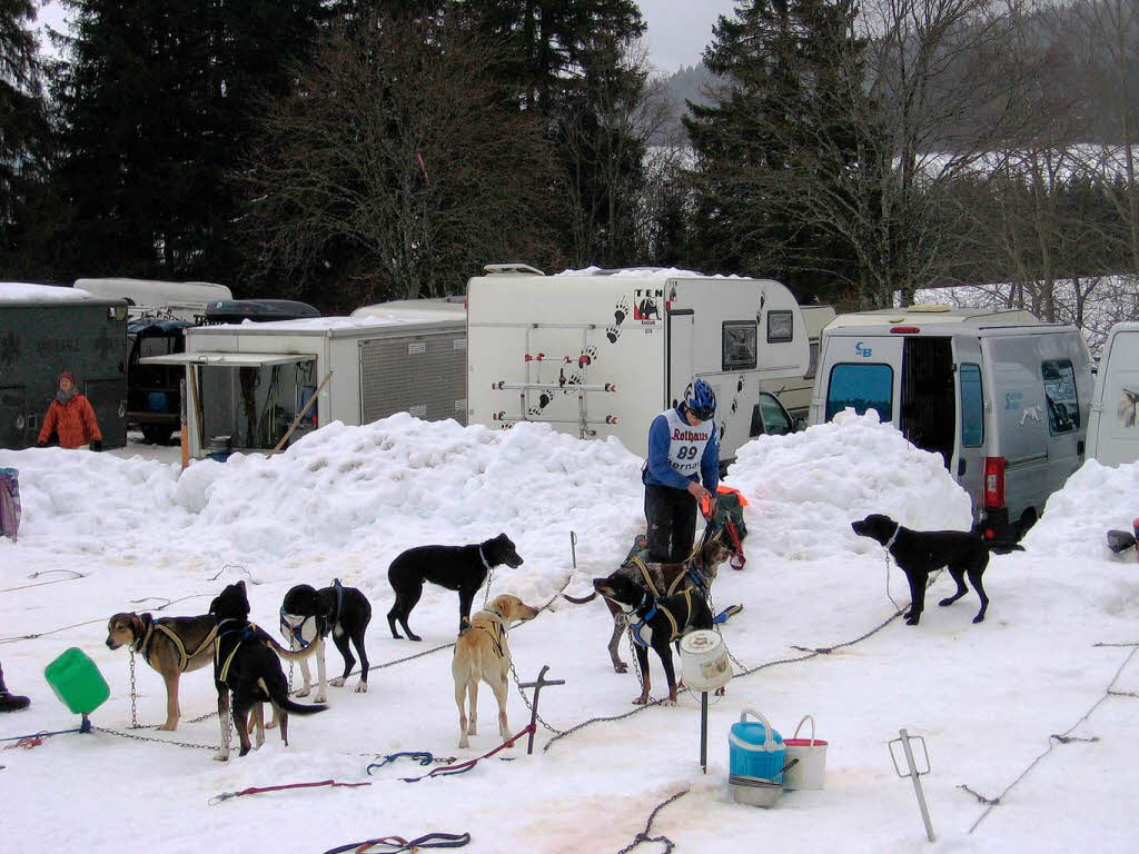 Bernauer Schlittenhunderennen 2010.