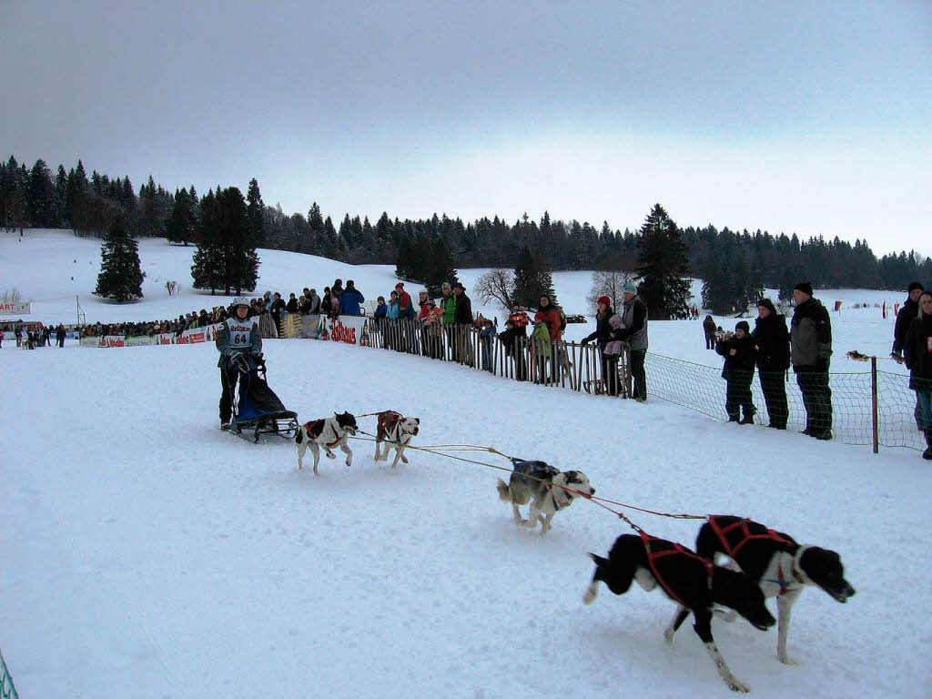 Bernauer Schlittenhunderennen 2010.