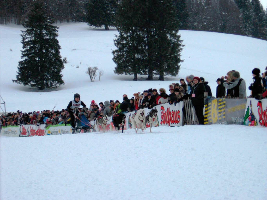 Bernauer Schlittenhunderennen 2010.