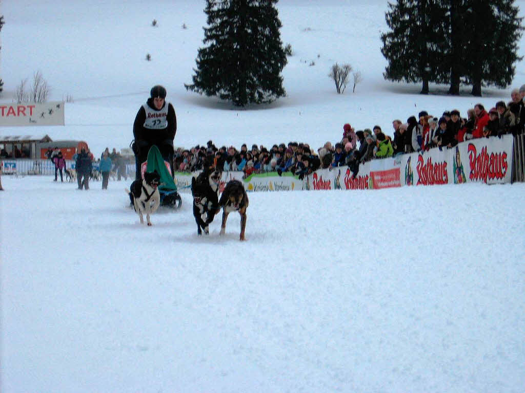 Bernauer Schlittenhunderennen 2010.