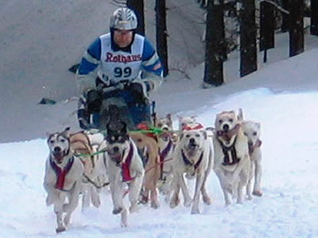 Impressionen von den Bernauer Schlittenhunderennen