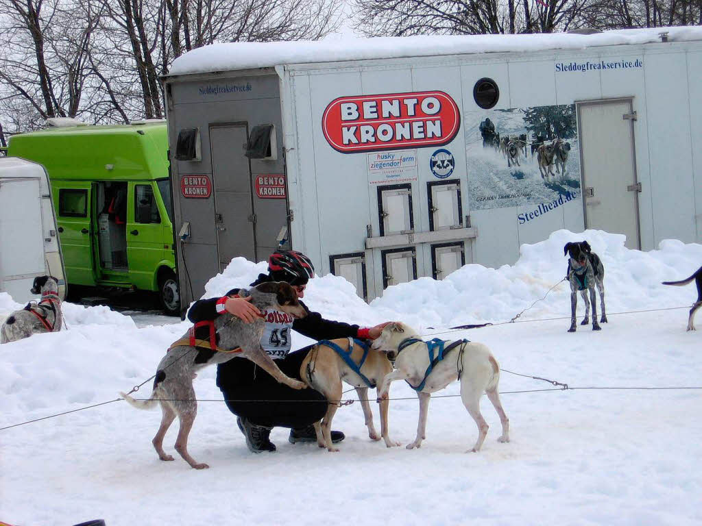 Impressionen von den Bernauer Schlittenhunderennen