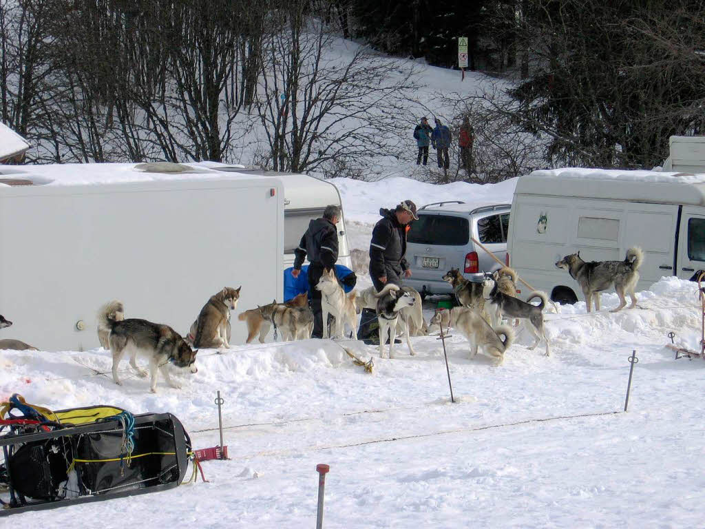 Impressionen von den Bernauer Schlittenhunderennen