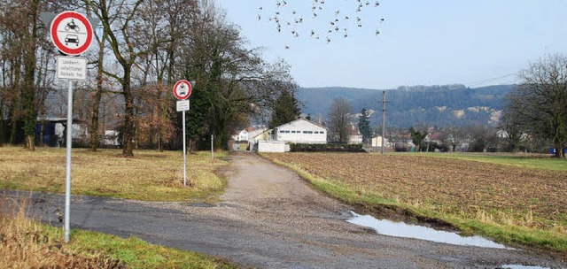 Ende der Ausbaustrecke:  Vom Fallberg ...landwirtschaftlicher Verkehr rollen.    | Foto: Ralf Staub