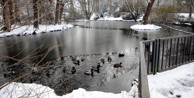 Schnee in der Stadt, das ist nicht nur...leinen Teich an der Breslauer Strae.   | Foto: christoph breithaupt