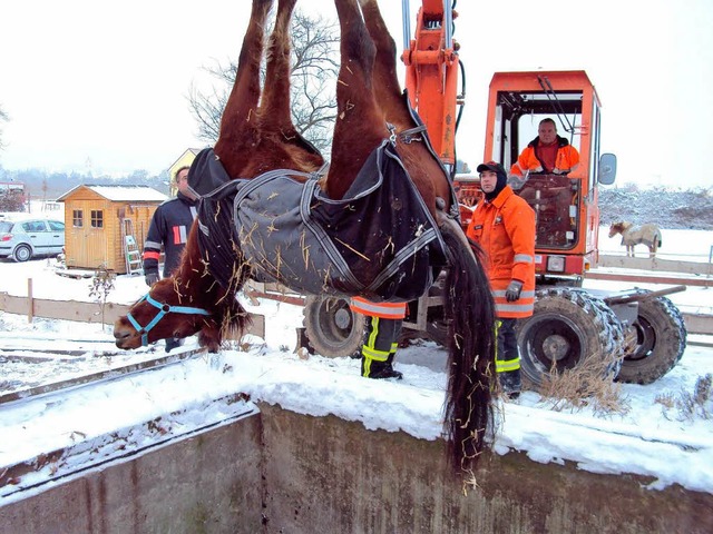 Offenbar unbeschadet berstand dieses ... Absturz in die ehemalige Jauchegrube.  | Foto: Feuerwehr Endingen