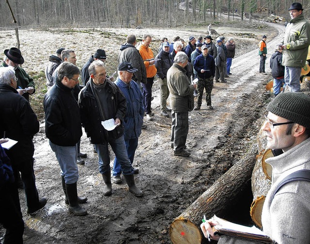 Frster Gerhard Schwab (vorne) und Ort... 180 Festmeter Brennholz an den Mann.   | Foto: SENF