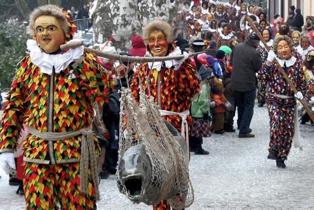 Mit dem Salm im Schnee zur heien Stdtlefasnacht