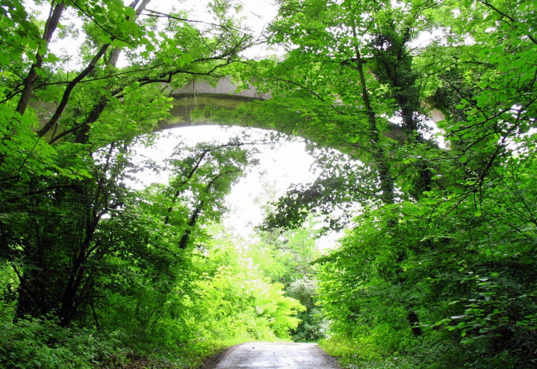 Auch diese kleine Brücke im Wald bei W... die das Landratsamt erfassen möchte.   | Foto: BZ