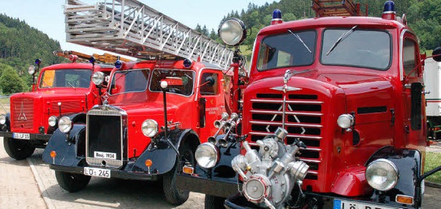 Eine Feuerwehr-Oldtimerschau sah man 2...tin Karen Kiefer  aus Wieslet stark.   | Foto: BZ-Archiv