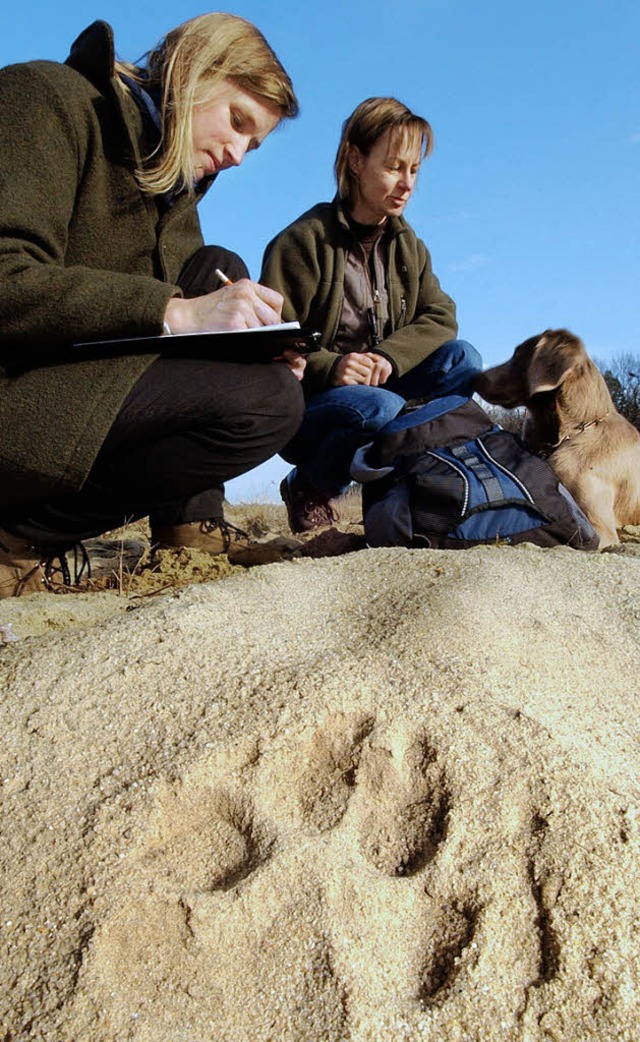 Gesa Kluth (links) und ihre Kollegin Ilka Reinhardt untersuchen eine Wolfsspur.  | Foto: Verwendung nur in Deutschland, usage Germany only