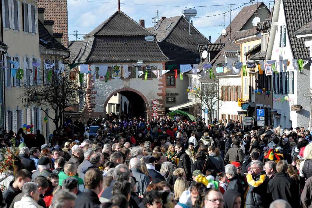 Tausende von Besuchern kamen zum 30. Sulzbachtal-Narrenumzug in Sulzburg.