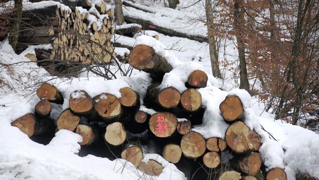 Gut 400 Festmeter Holz warten derzeit ... im Wald auf eine schneefreie Abfuhr.   | Foto: Dietmar Noeske