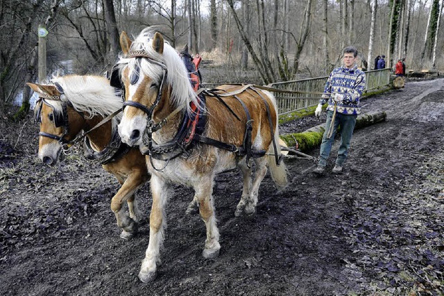   | Foto: Bernhard Rein