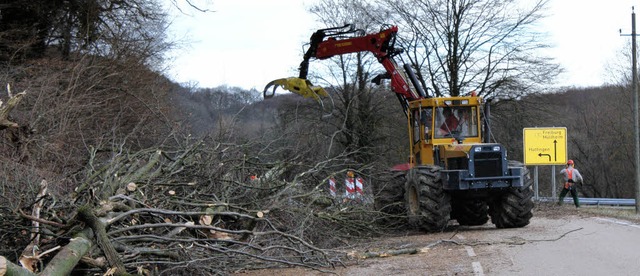 500 Festmeter Holz werden diese Woche ... wird die Strae sogar ganz gesperrt.   | Foto: Julia Jacob