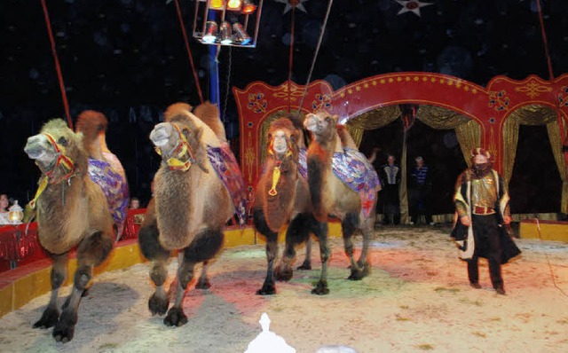 Orientalischer Flair: Der Zirkus Monta... gastiert er von Freitag bis Sonntag.   | Foto: privat